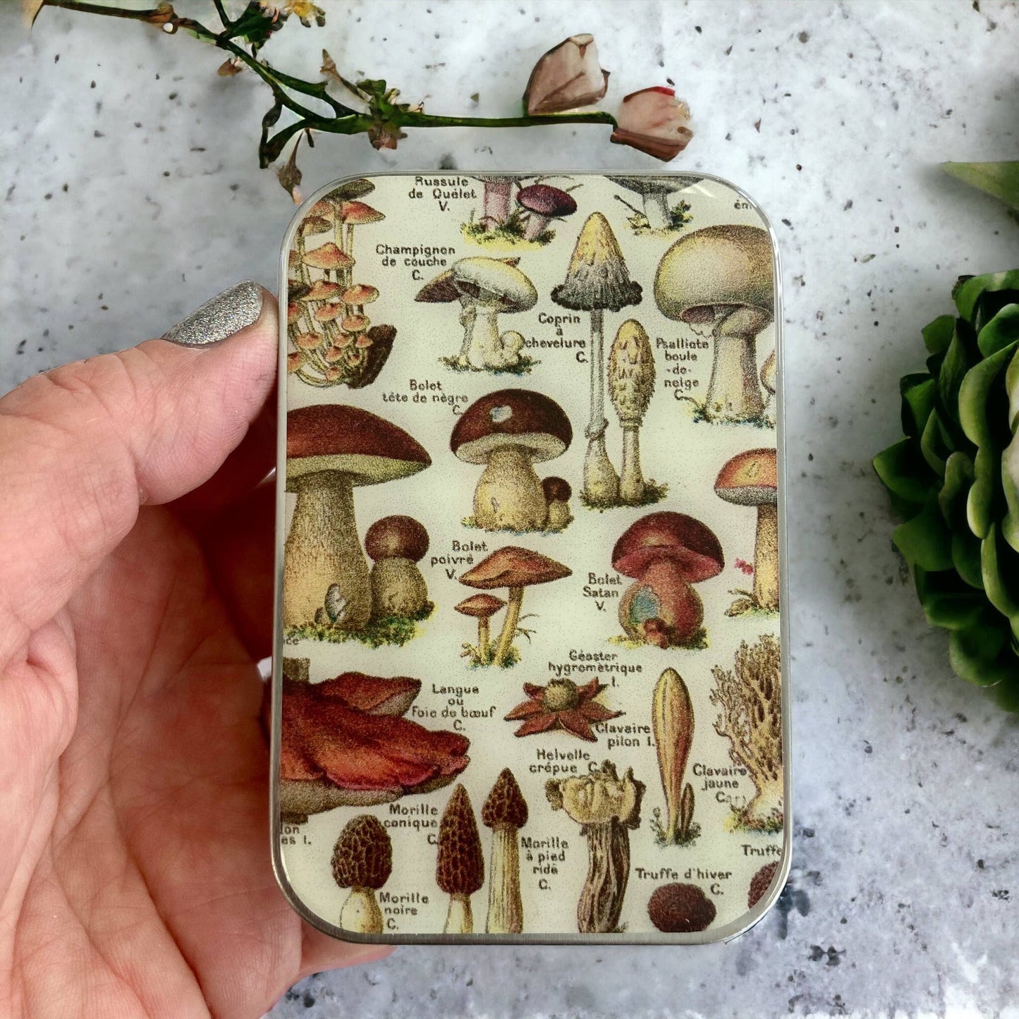 Firefly Notes - Mushroom Storage Tin: Small