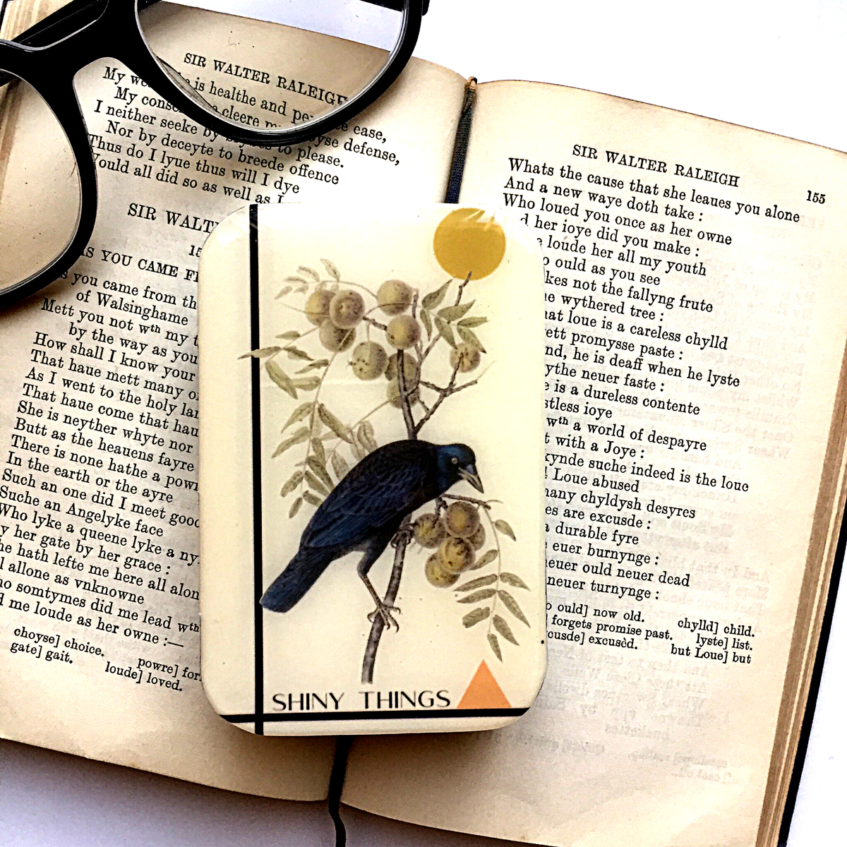 Firefly Notes - Crow Tin, Shiny Things Tin