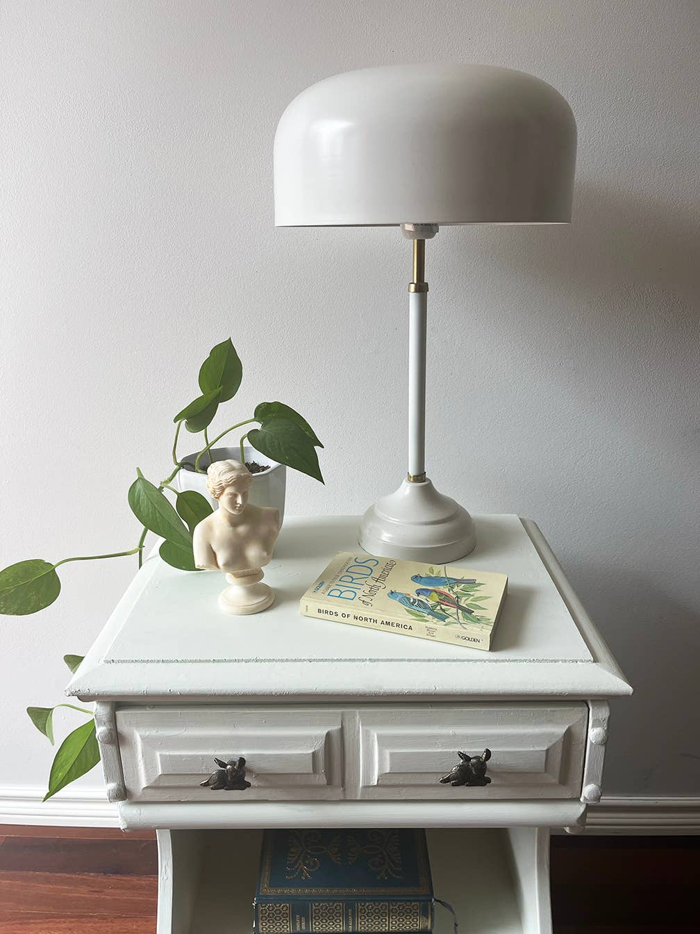 Country Chic Paint - Gentle Meadow - Chalk Style Paint for Furniture & Home Decor