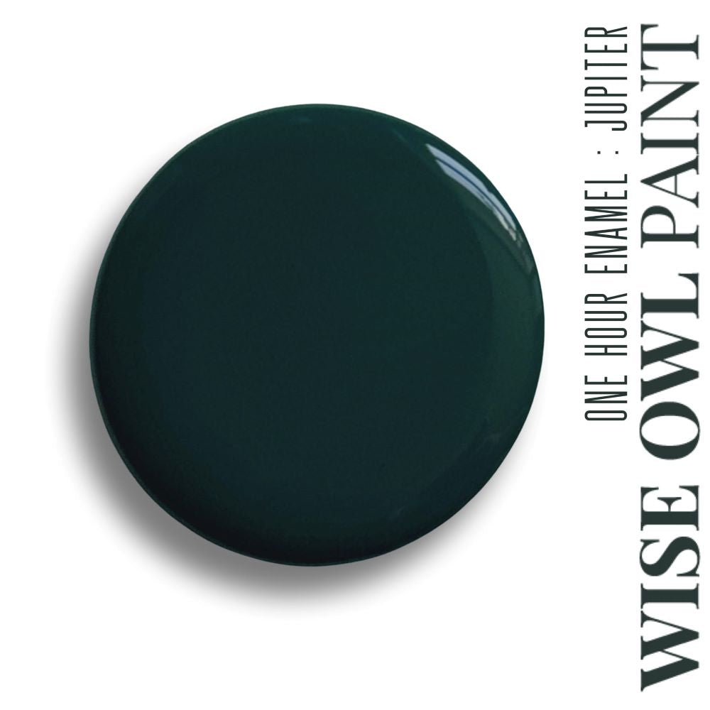 Wise Owl One Hour Enamel Paint - "New" Jupiter