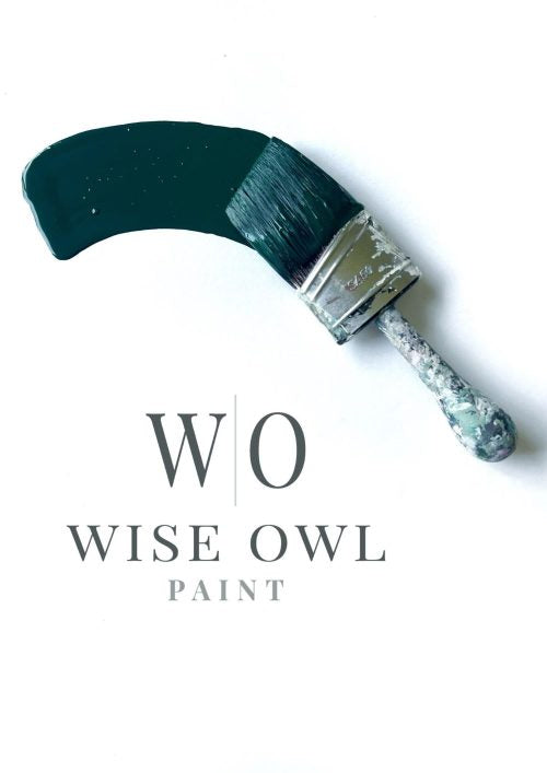 Wise Owl One Hour Enamel Paint - 