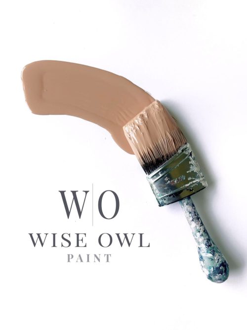 Wise Owl One Hour Enamel Paint - "New" Pink Suede