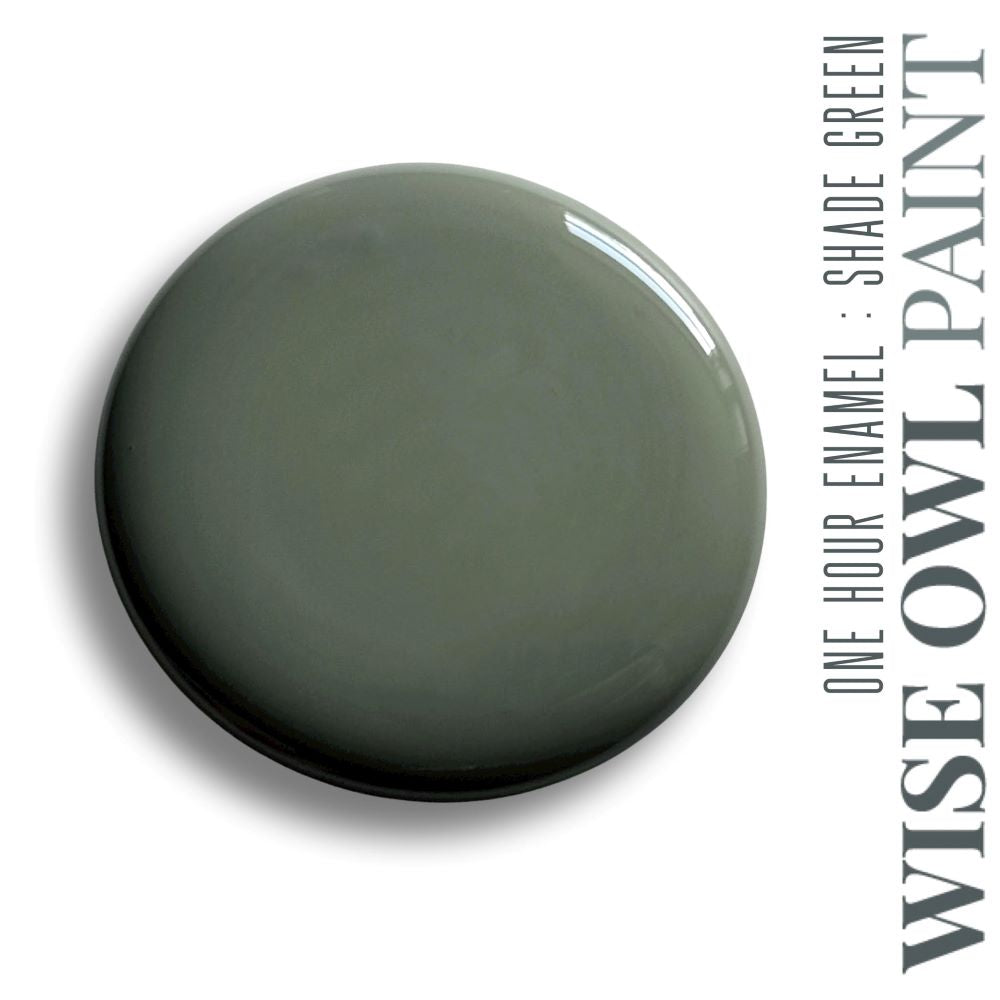 Wise Owl One Hour Enamel Paint - "New" Shade Green