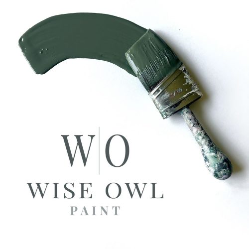 Wise Owl One Hour Enamel Paint - "New" Shade Green
