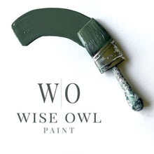 Load image into Gallery viewer, Wise Owl One Hour Enamel Paint - &quot;New&quot; Shade Green
