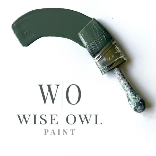 Wise Owl One Hour Enamel Paint - 