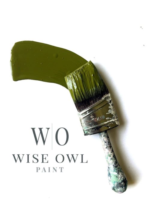 Wise Owl One Hour Enamel Paint - "New" Spanish Olive