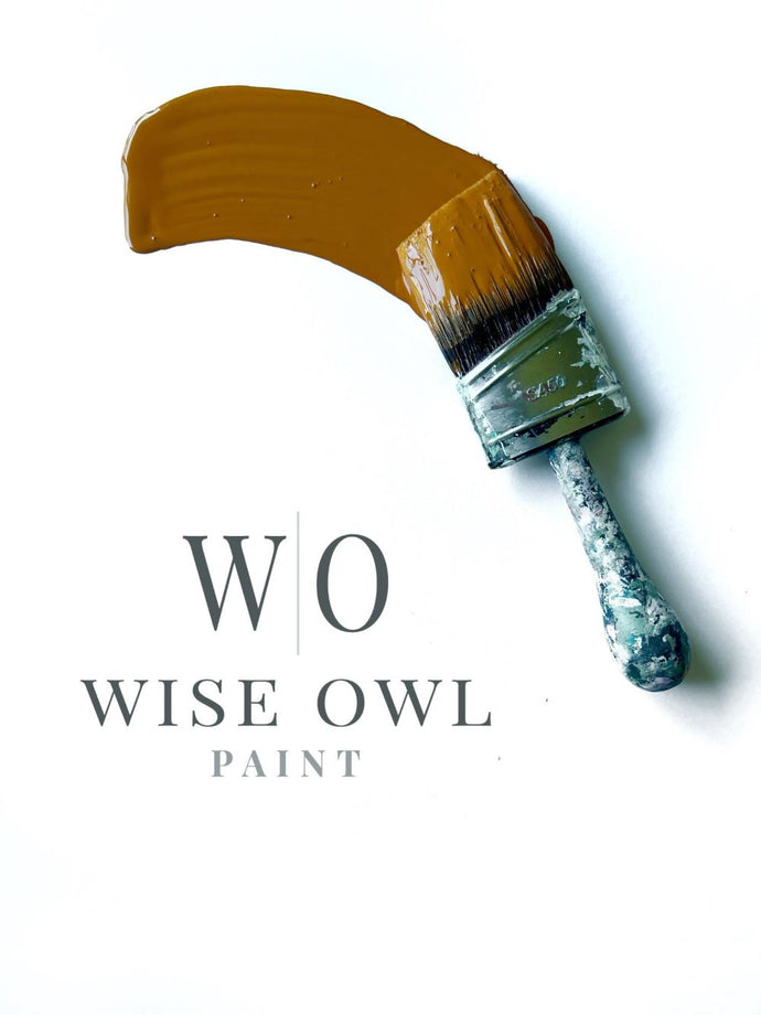 Wise Owl One Hour Enamel Paint - 