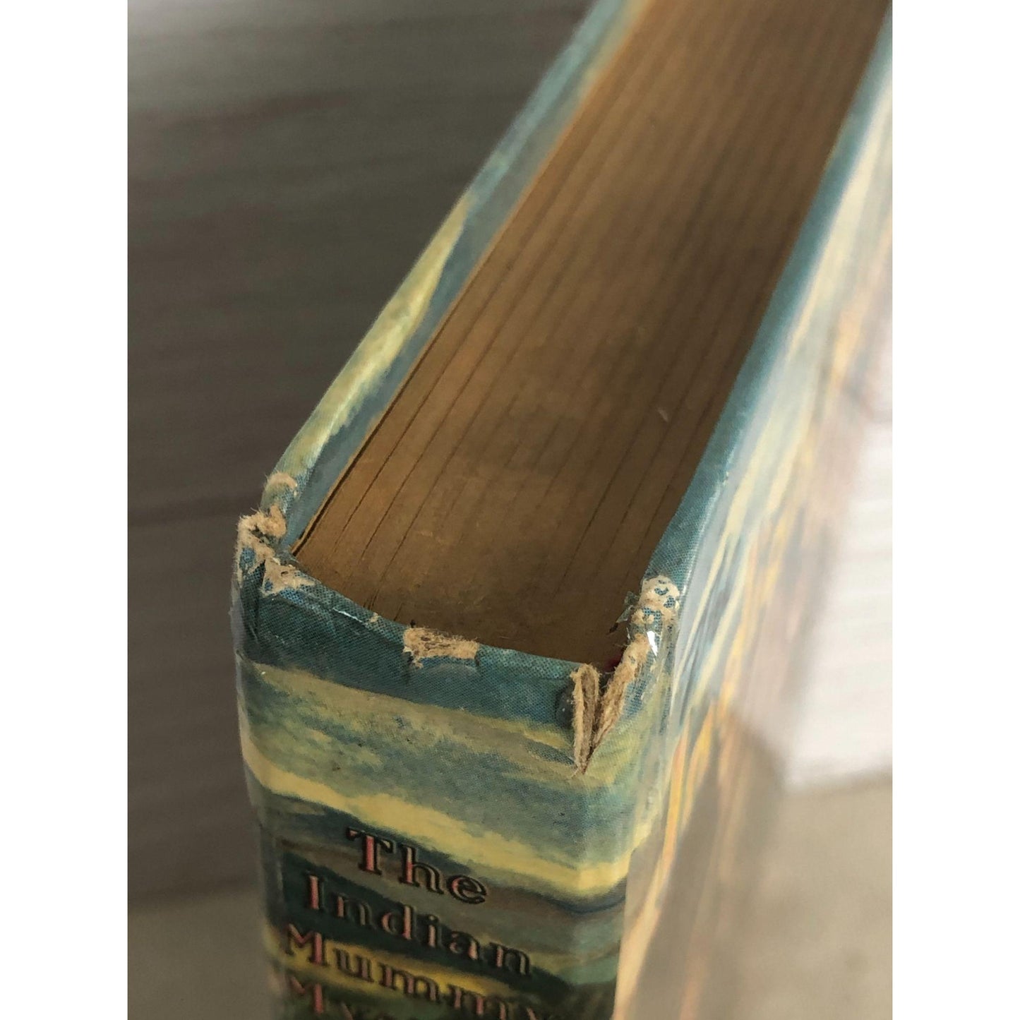 1954 The Indian Mummy Mystery by Troy Nesbit Illustrated by Paul Busch