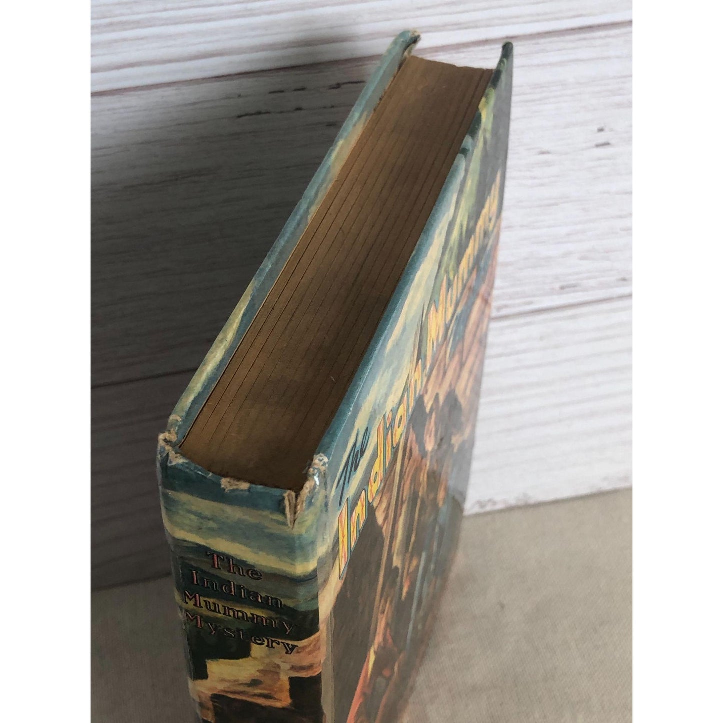 1954 The Indian Mummy Mystery by Troy Nesbit Illustrated by Paul Busch