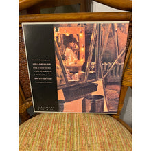 Load image into Gallery viewer, 1977 Linda Ronstadt simple dreams Vinyl record Electra/Asylum
