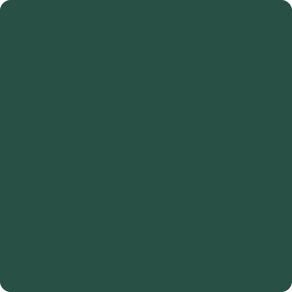 Wise Owl Chalk Synthesis Paint 16oz - Botanical