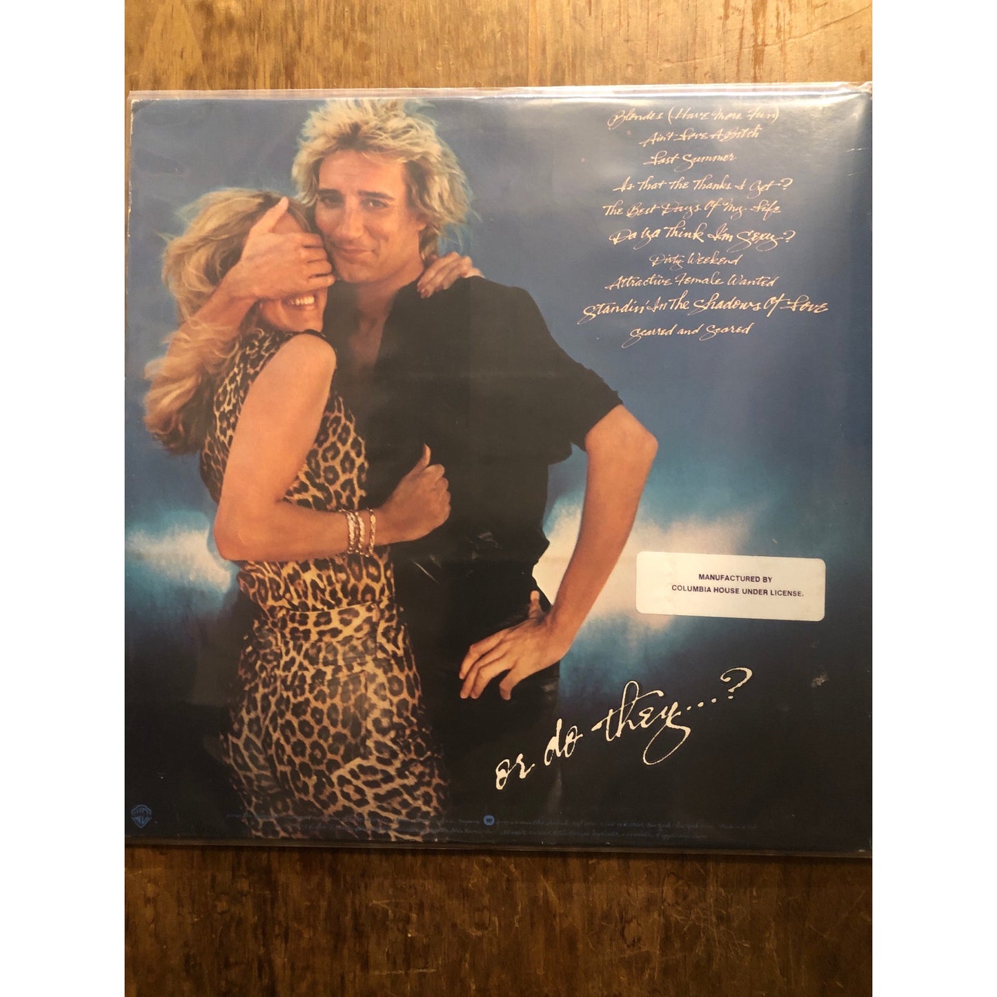 1978 Warner Brothers Rod Stewart Blonds Have More Fun Vinyl Album Record LP