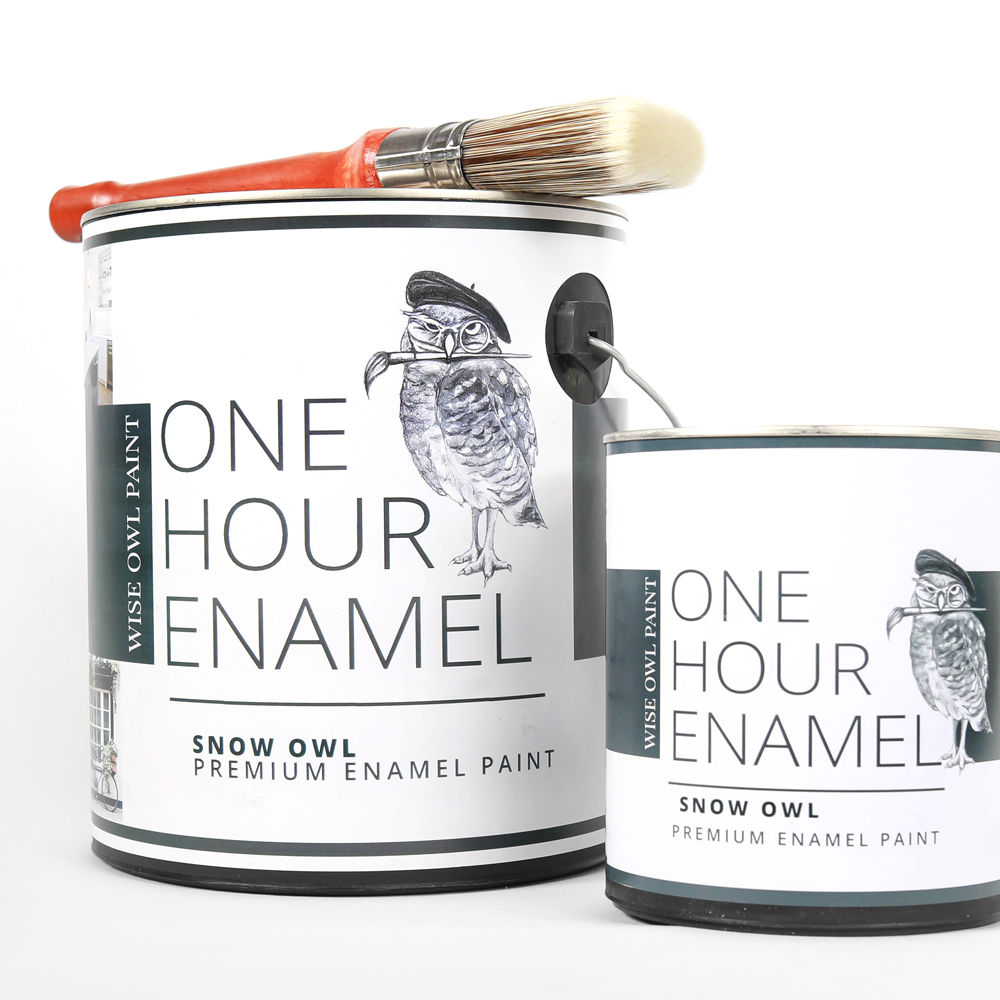 Wise Owl One Hour Enamel Paint - Peppercorn