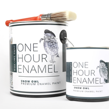 Load image into Gallery viewer, Wise Owl One Hour Enamel Paint - Renovation Gray
