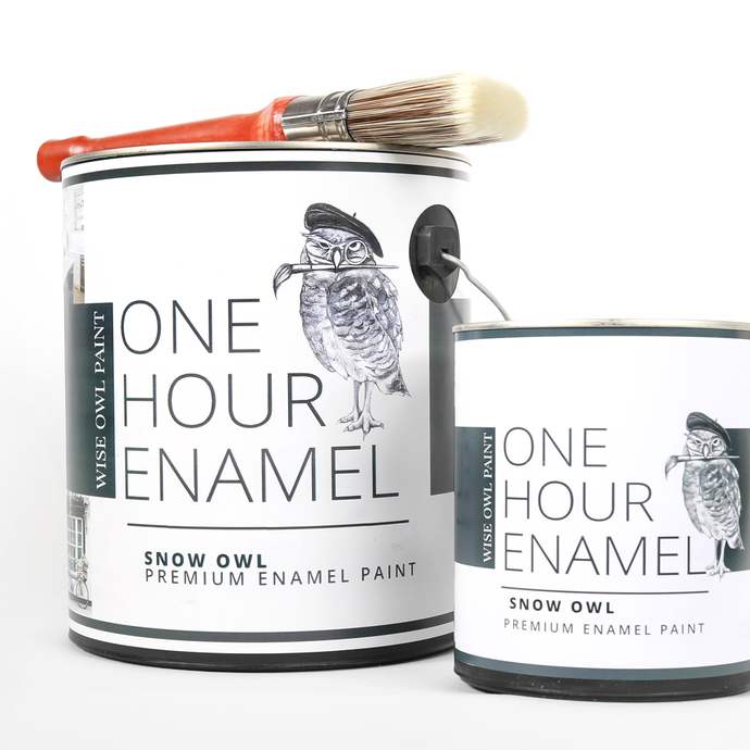 Wise Owl One Hour Enamel Paint - Soft Black