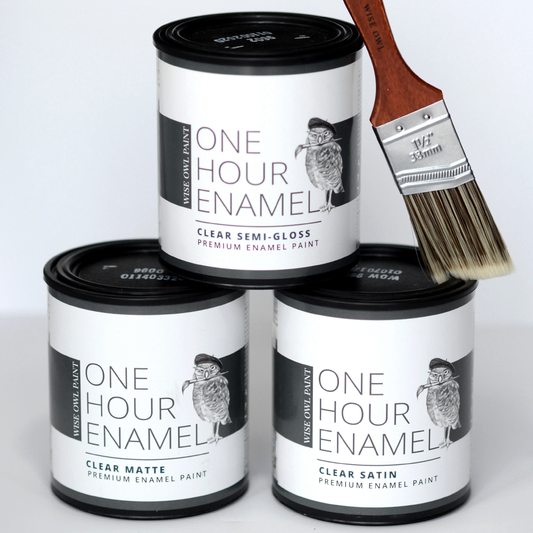 Wise Owl One Hour Enamel Clear Coat Paint