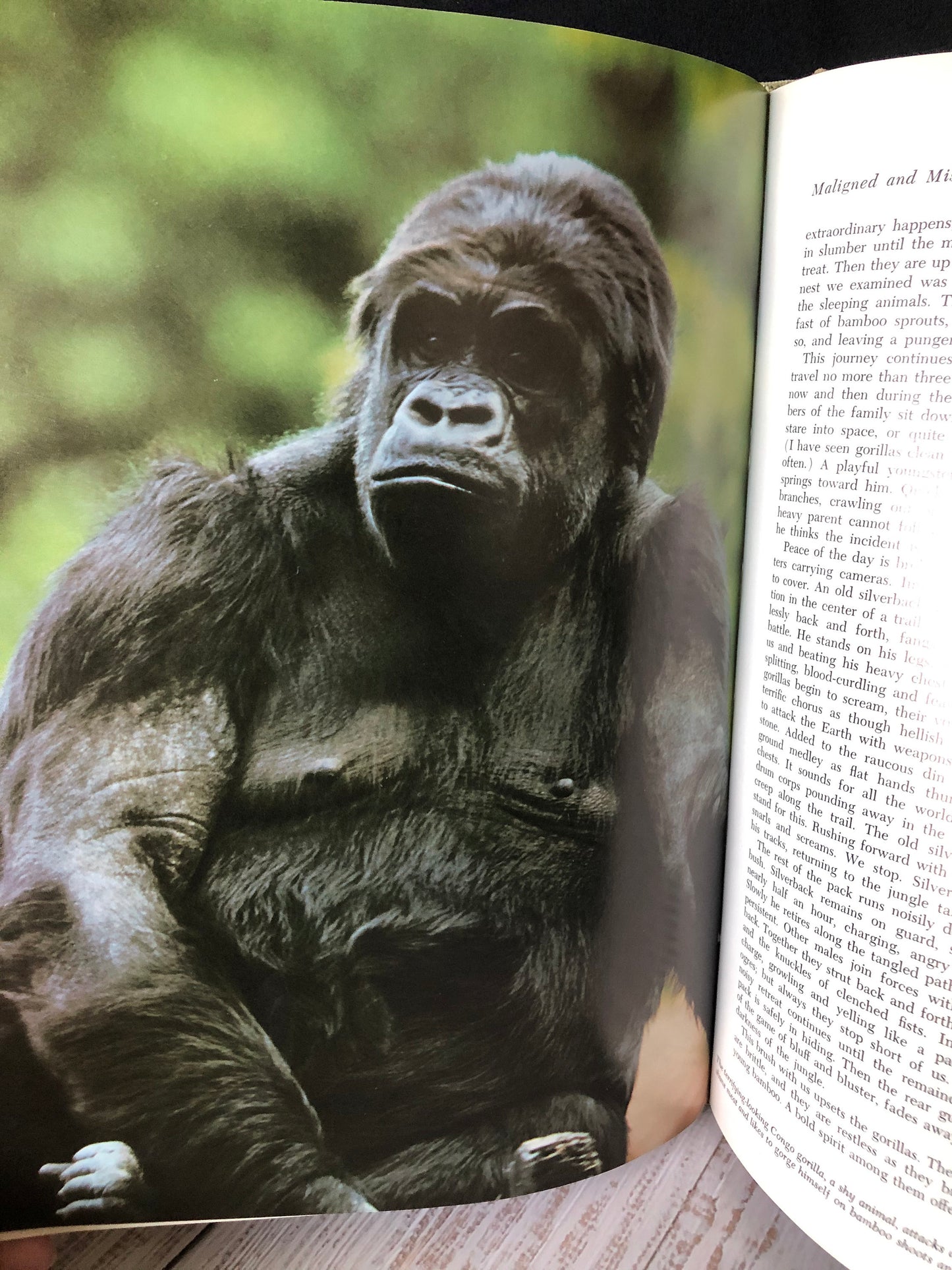 1964 Marvels and Mysteries of our Animal World from Readers Digest