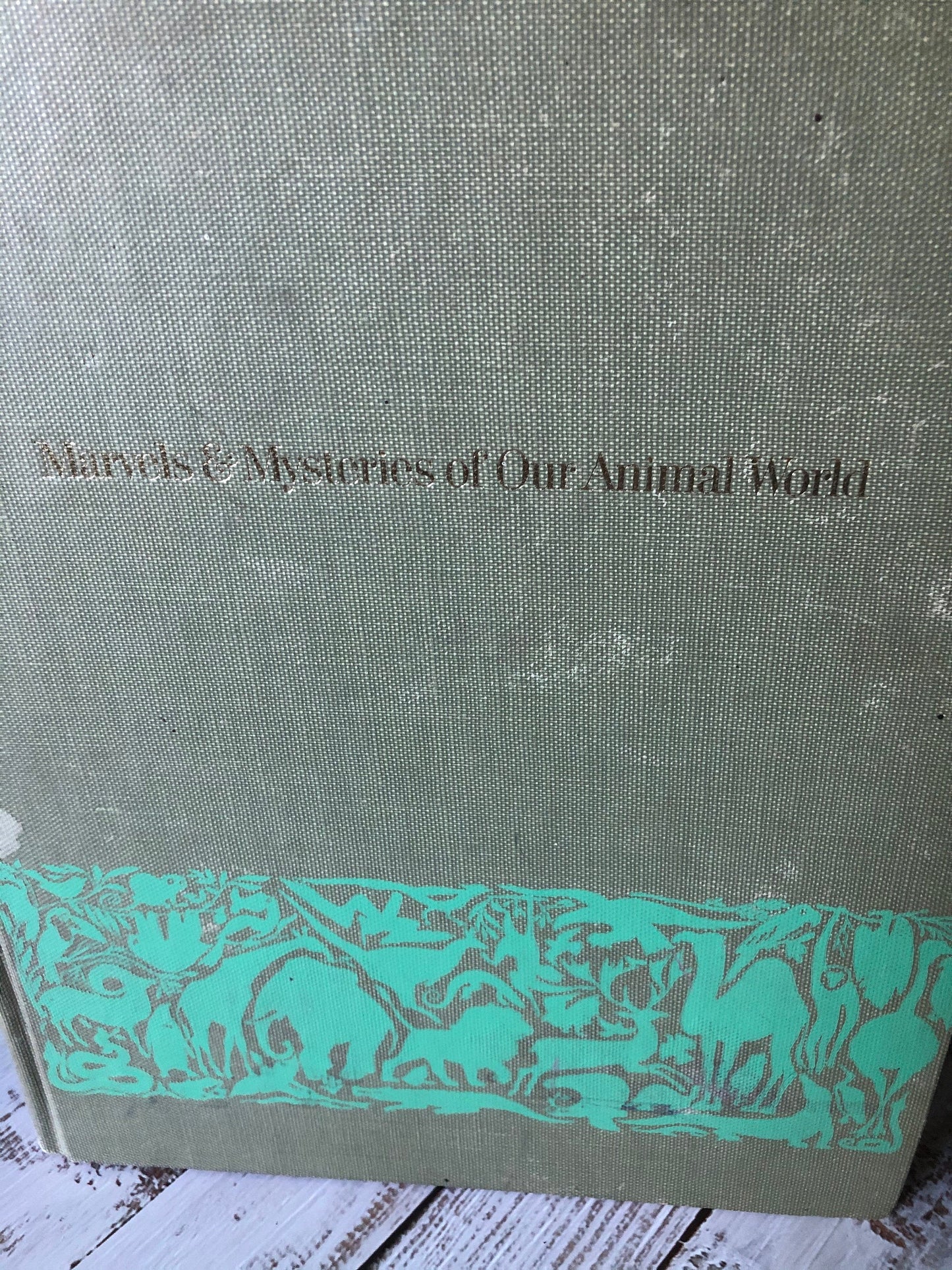 1964 Marvels and Mysteries of our Animal World from Readers Digest