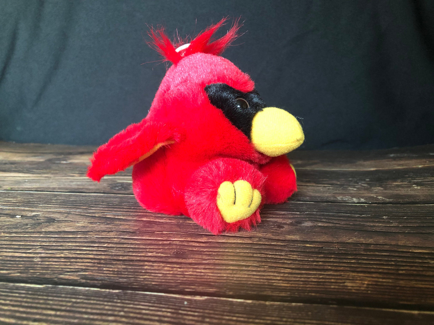 1999 Purr-fection Cushy Critter by MJC. A Baby Cardinal Named "Bandit" Style #2849