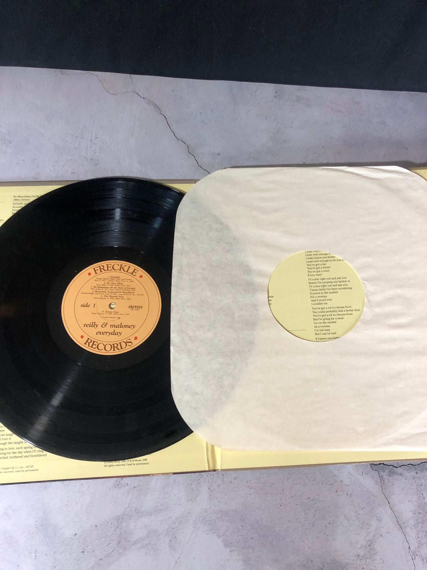 1980 Freckle Records Reilly & Maloney Everyday Vinyl LP Record Album Vinyl