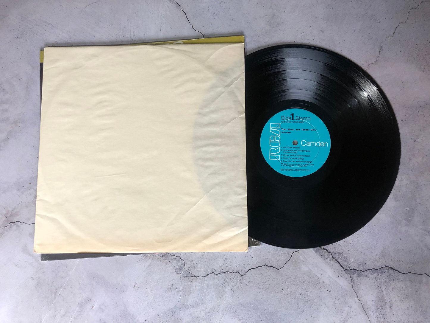 1968 RCA Camden John Gary That Warm and Tender Glow Record Album Vinyl