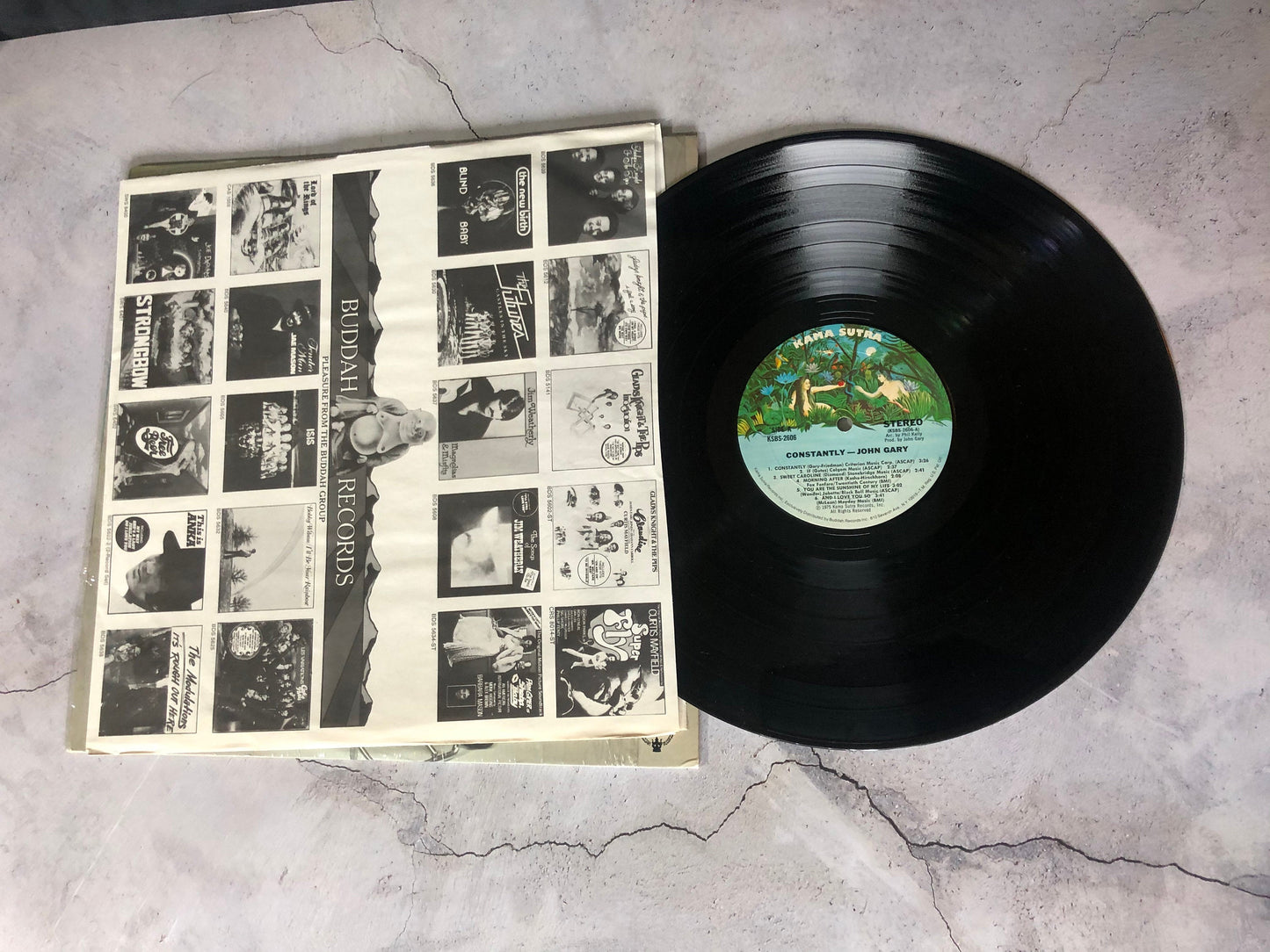1975 Kama Sutra John Gary Constantly Vinyl LP Record Album Vinyl