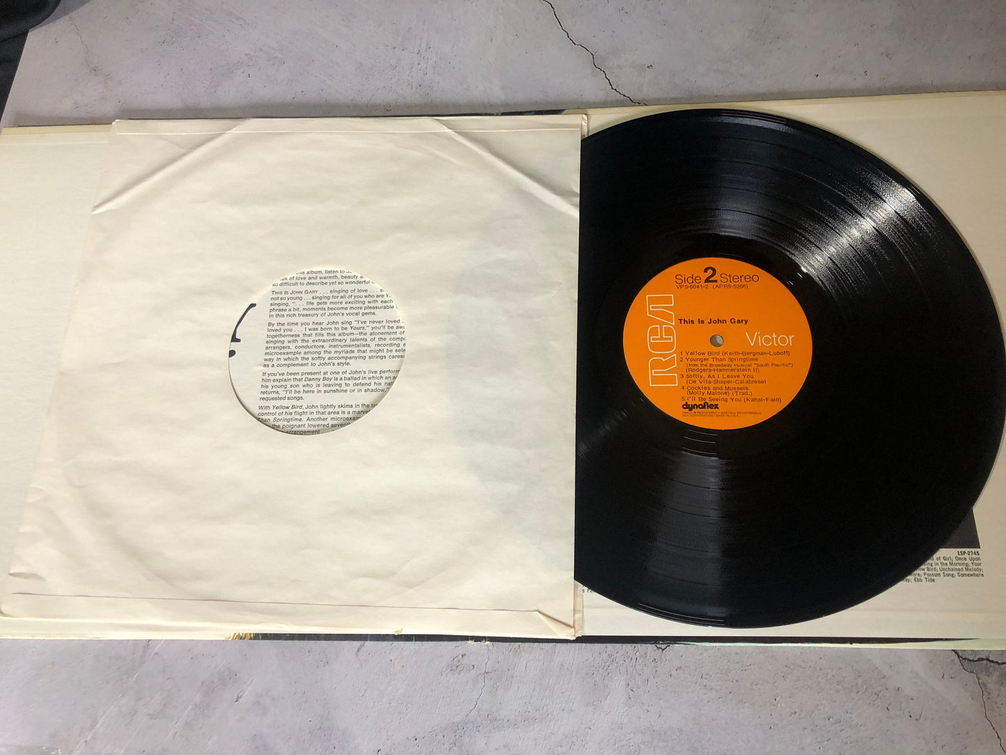1971 RCA Victor John Gary This Is John Gary LP Record Album Vinyl