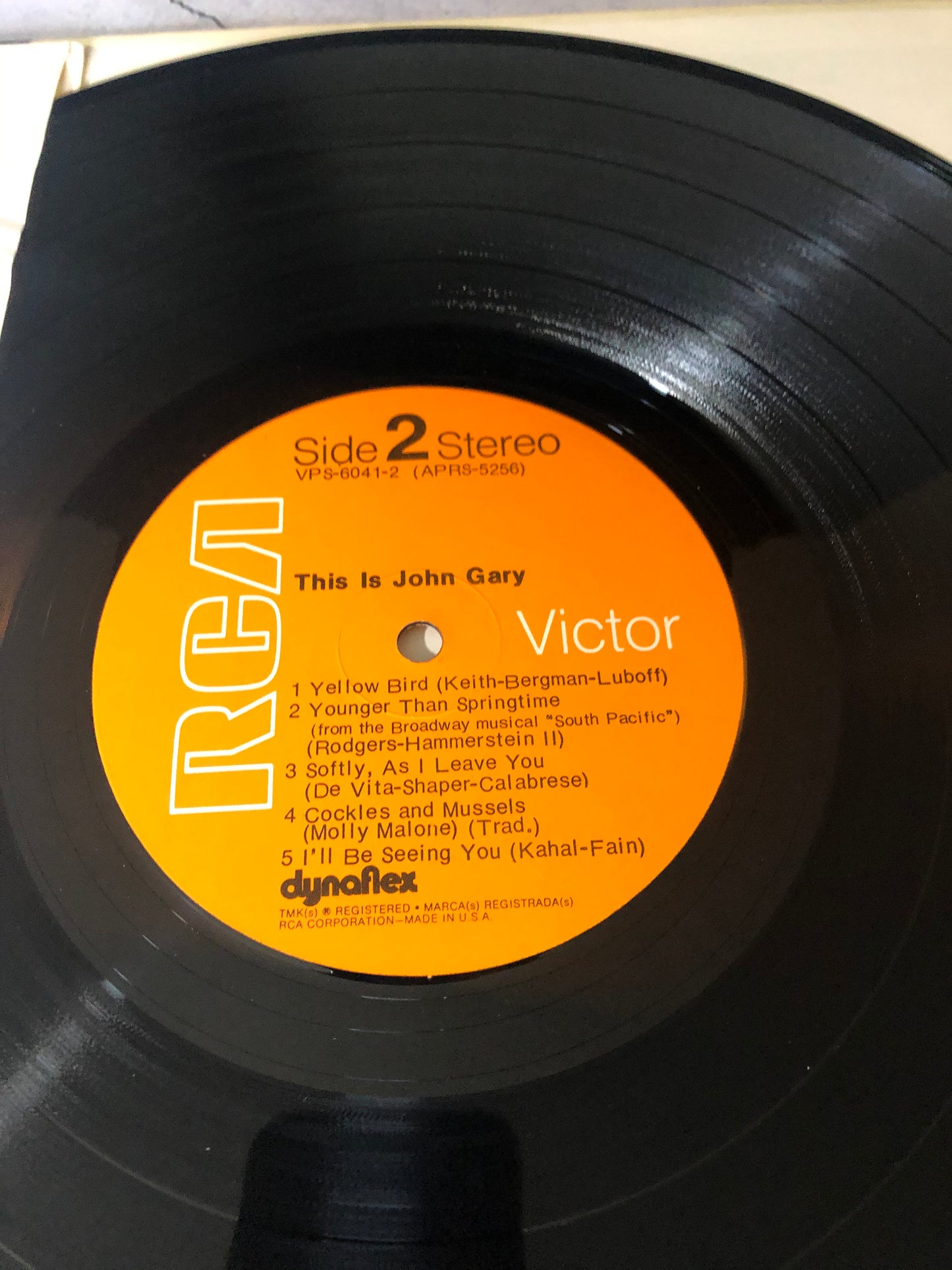 1971 RCA Victor John Gary This Is John Gary LP Record Album Vinyl
