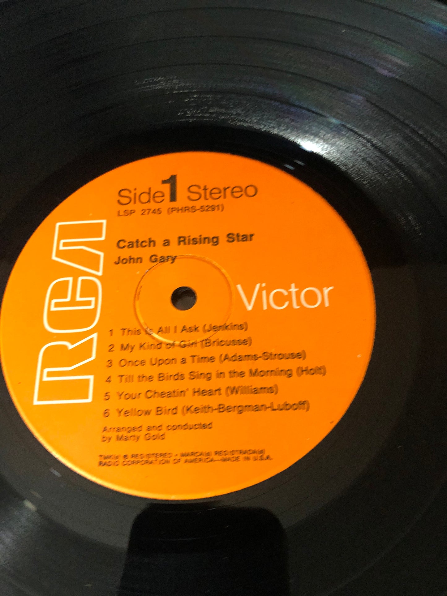 1963 RCA Victor Dyngroove Recording John Gary Catch A Rising Star Vinyl LP Record Album Vinyl