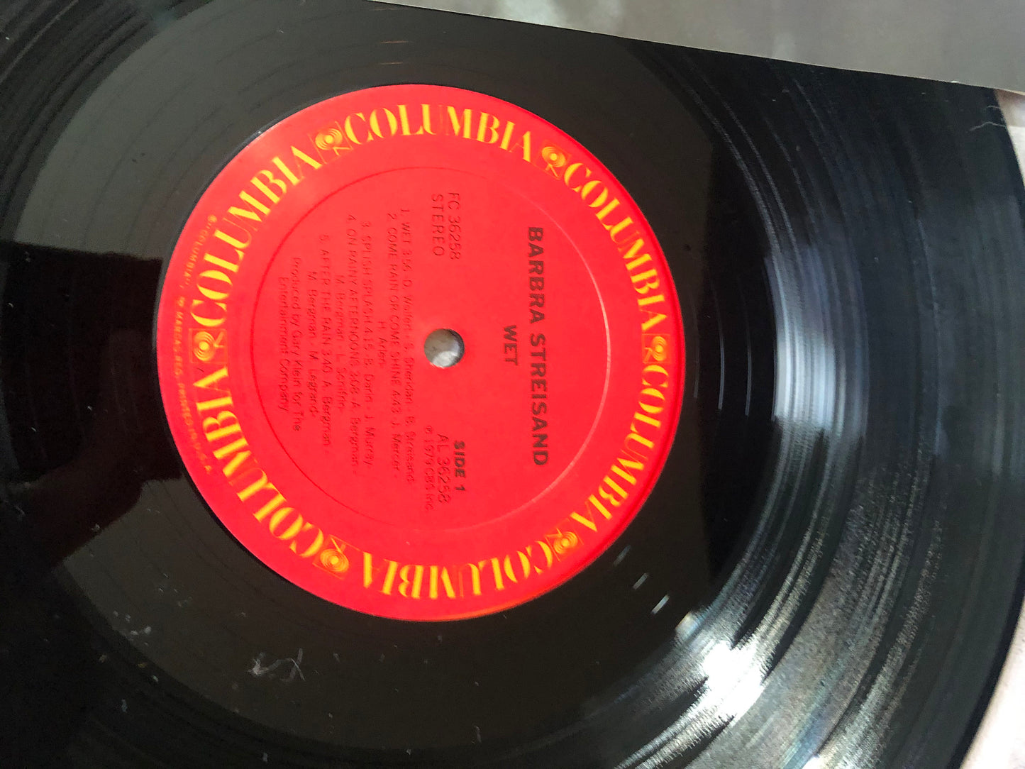 1979 Columbia Records Barbra Streisand Wet Vinyl